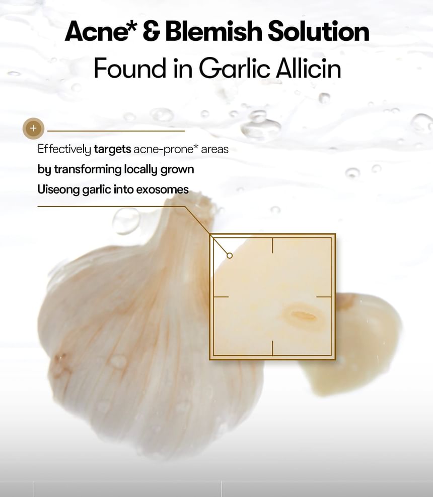 VT Garlic Ac Reedle Shot Gel Cream Blemish Care 50Ml
